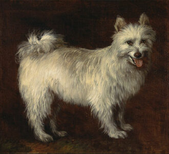 Histoire du spitz- Spitz par Thomas Gainsborough vers 1765-poms de la Lezardiere Spitz par Thomas Gainsborough vers 1765