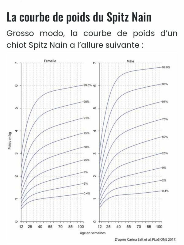 croissance3 courbe de poids du spitz nain