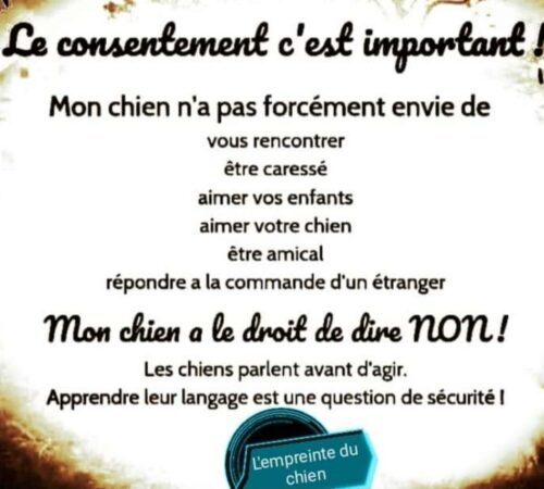 le consentement c'est important l'empreinte du chien