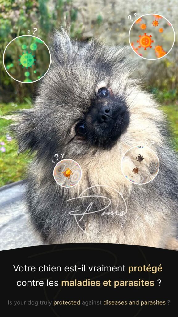 vaccins - maladies - parasites - poms de la lezardiere